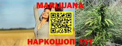 spice Брянск
