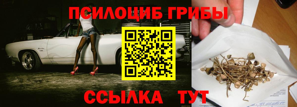 магазин продажи   Галлюциногенные грибы GOLDEN TEACHER  Вход с VPN  Вязьма 